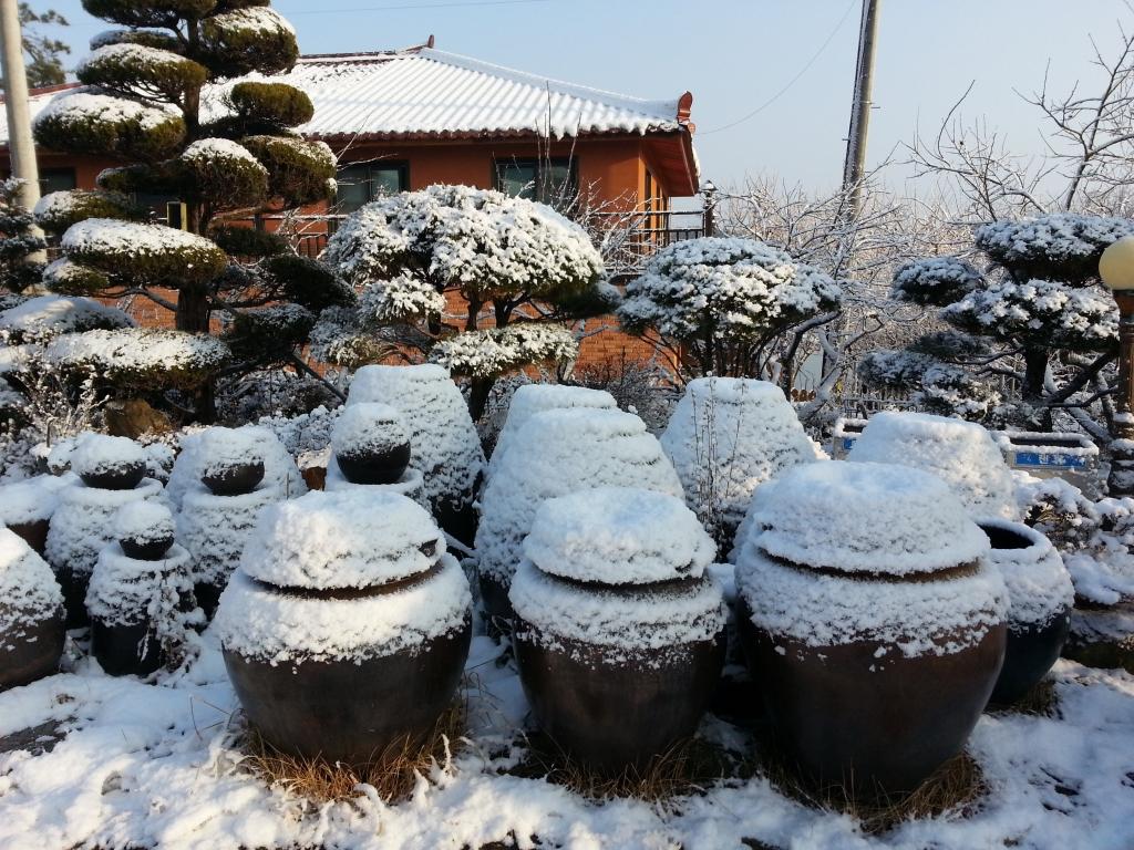 Cover Image for 토루