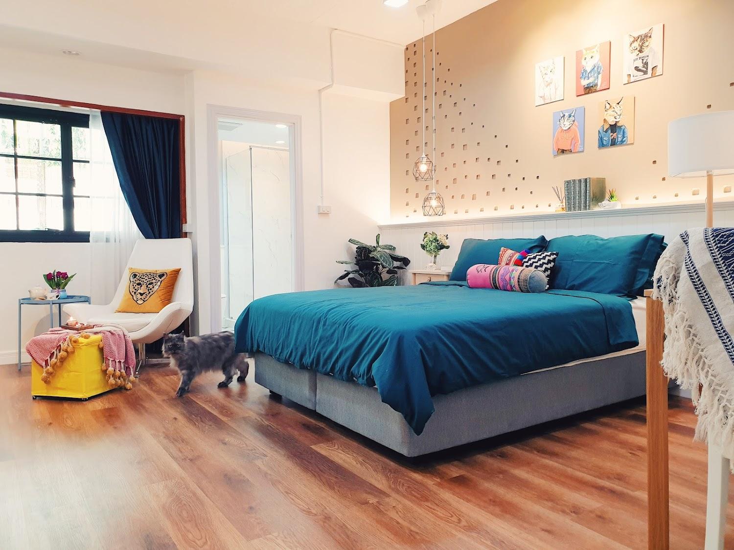 Cover Image for Pillows & Purrs