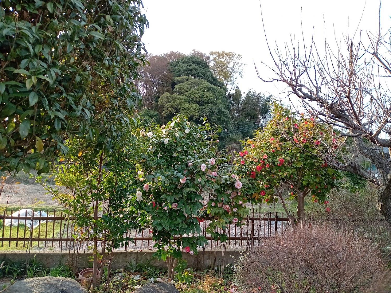 Cover Image for Warakuyuen