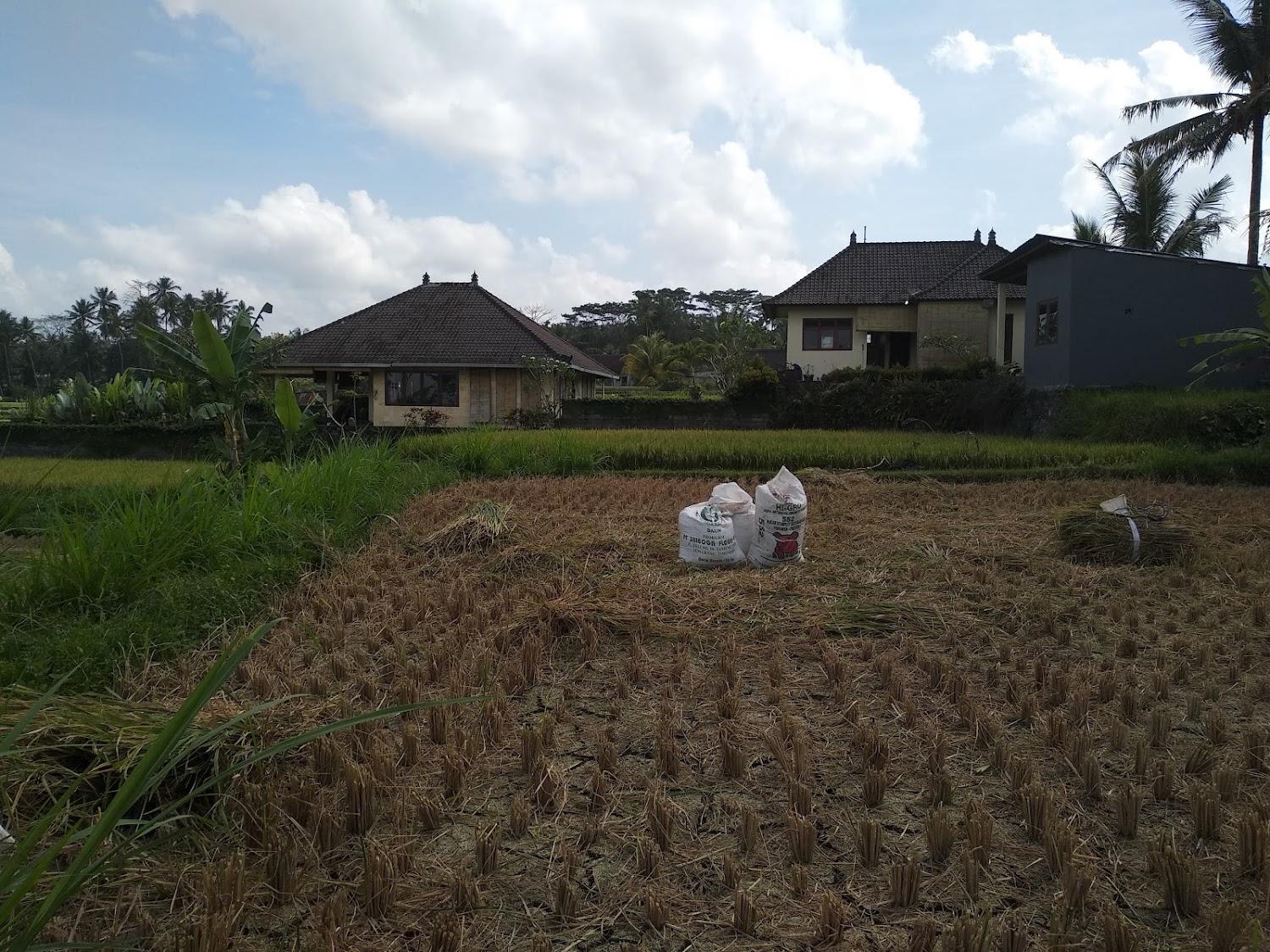 Cover Image for PONDOK SAWAH VILLA