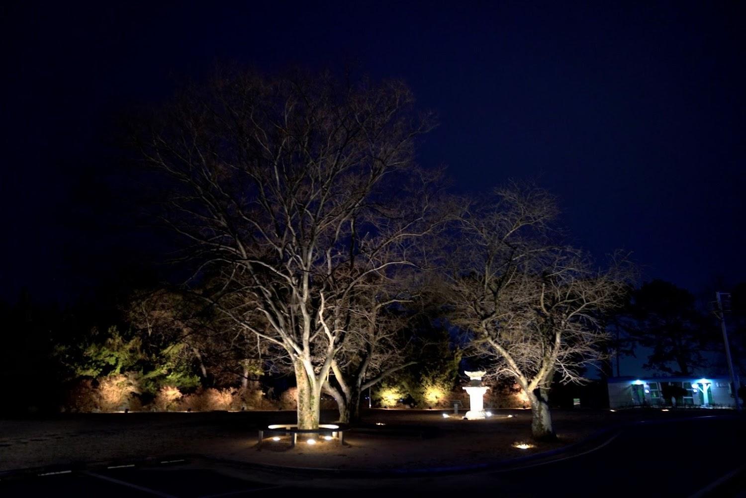 Cover Image for Syumotel