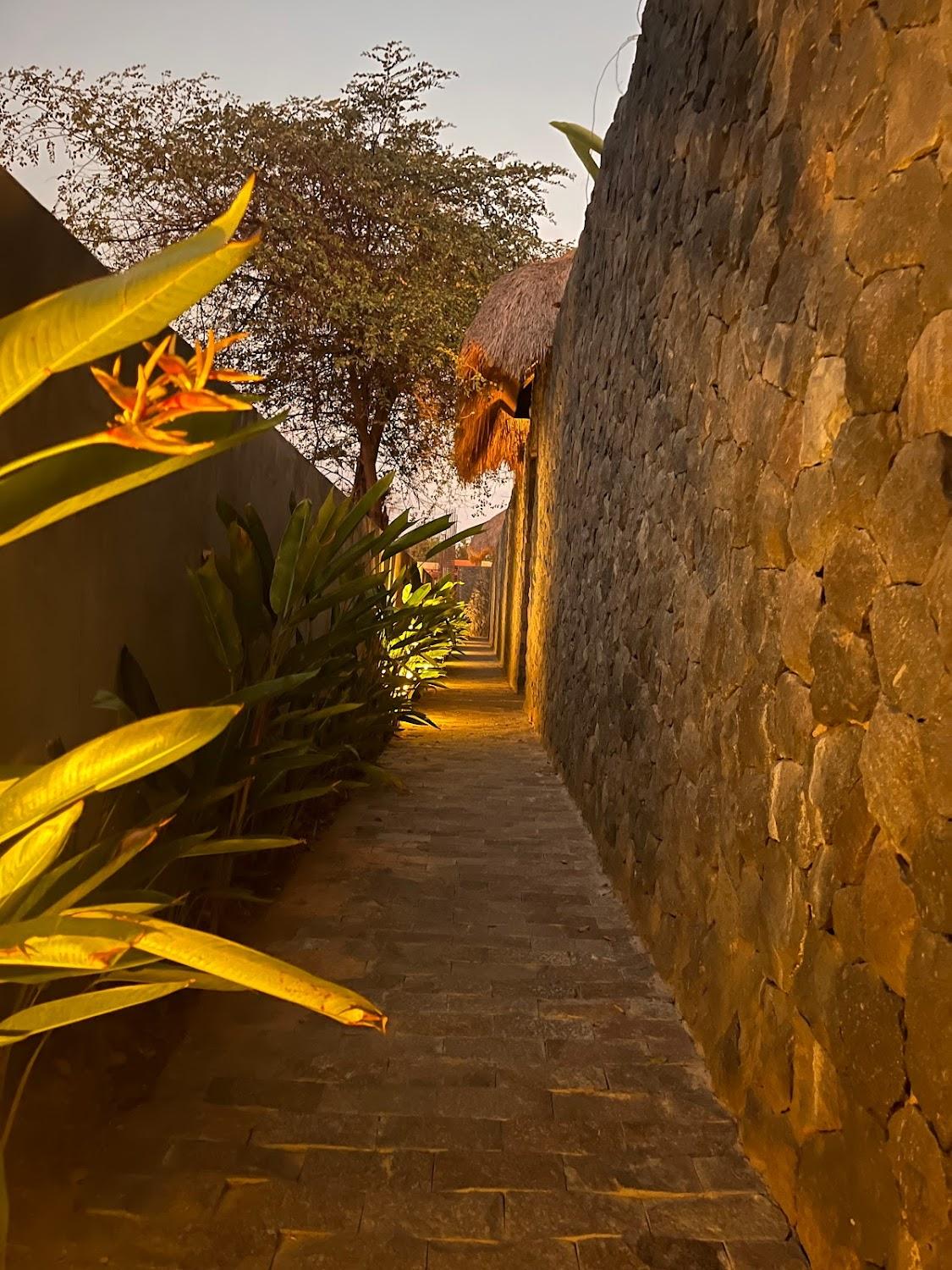 Cover Image for La Reserva