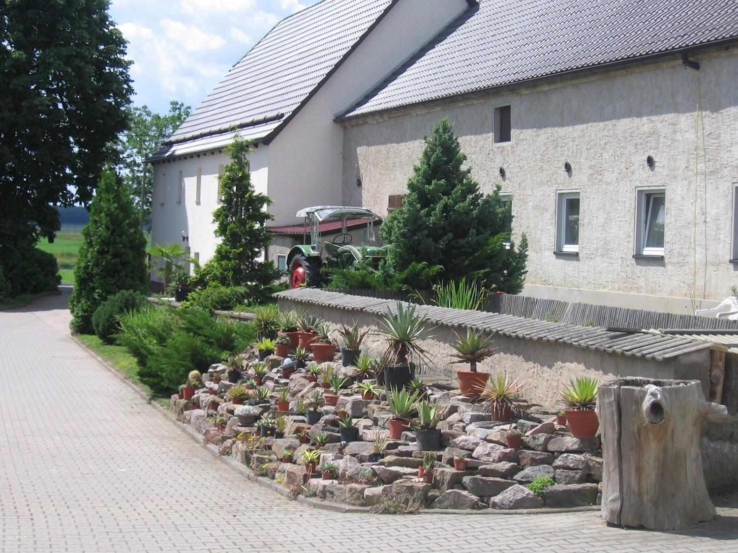 Cover Image for Pension Schreiber