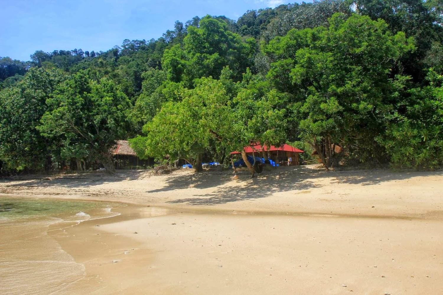 Cover Image for Rimba Ecolodge