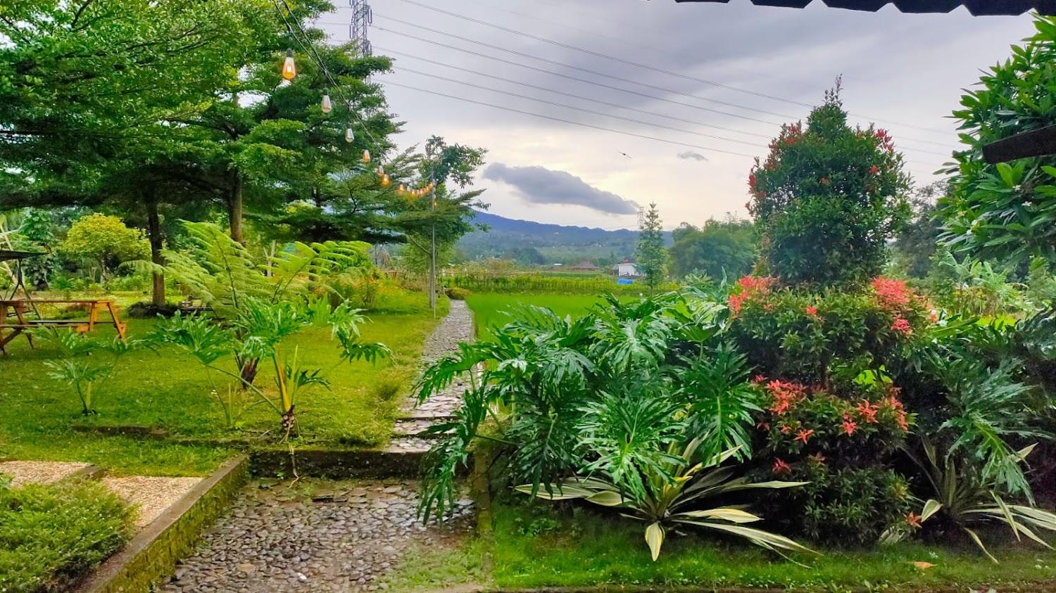 Cover Image for Kebun Mandena
