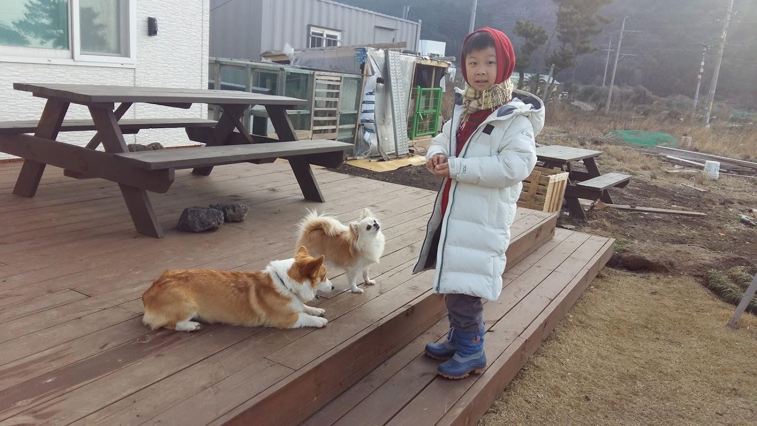 Cover Image for 제주542펜션
