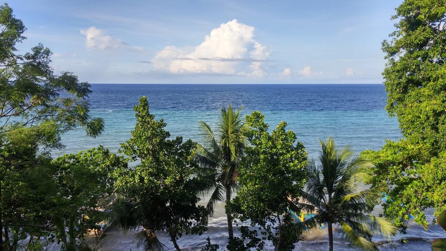 Cover Image for Bunaken Island Dive Resort