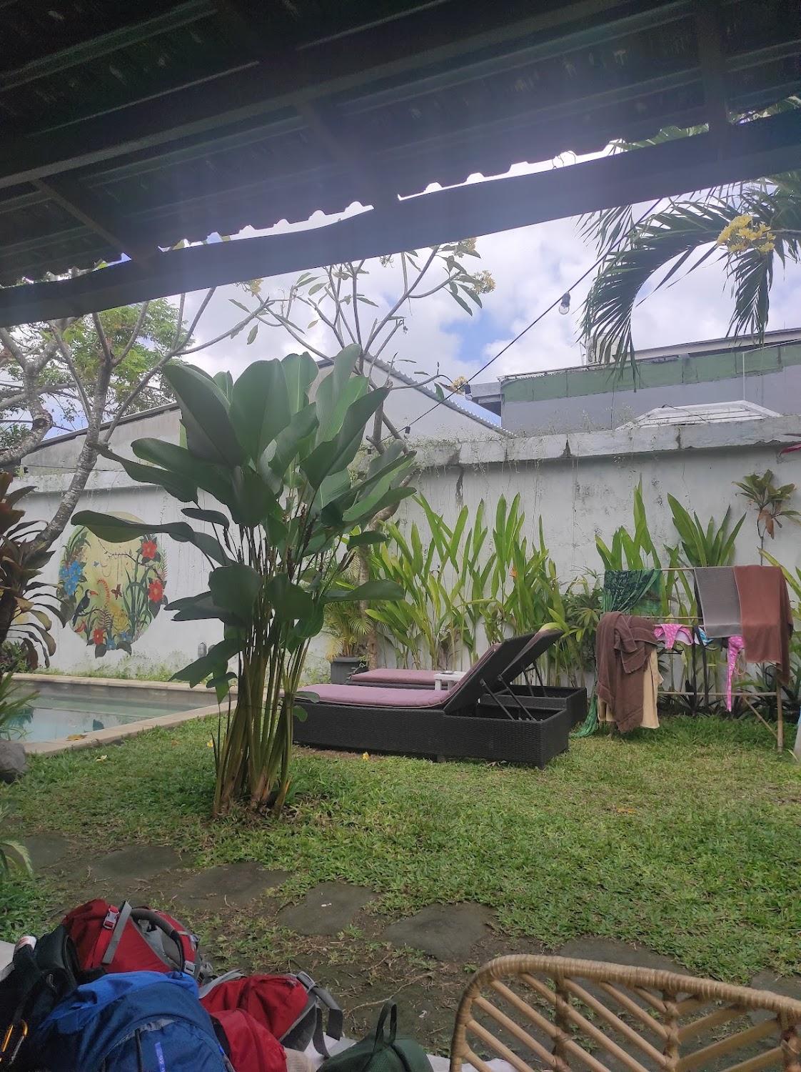 Cover Image for The Jungle House