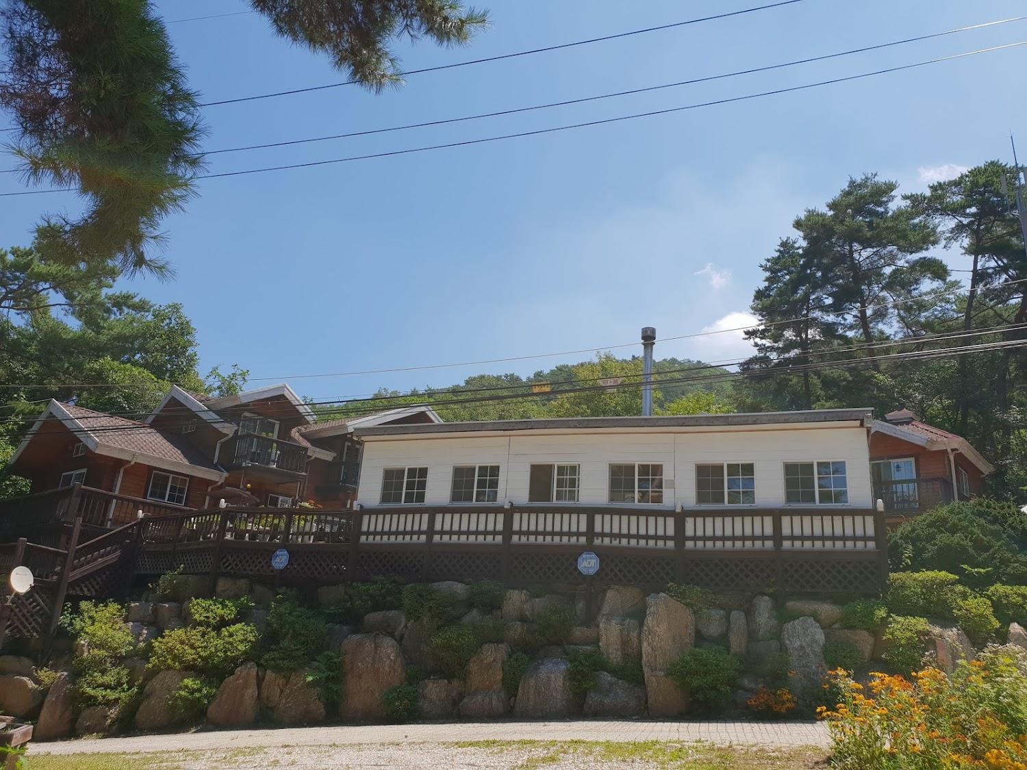 Cover Image for 파인홀릭