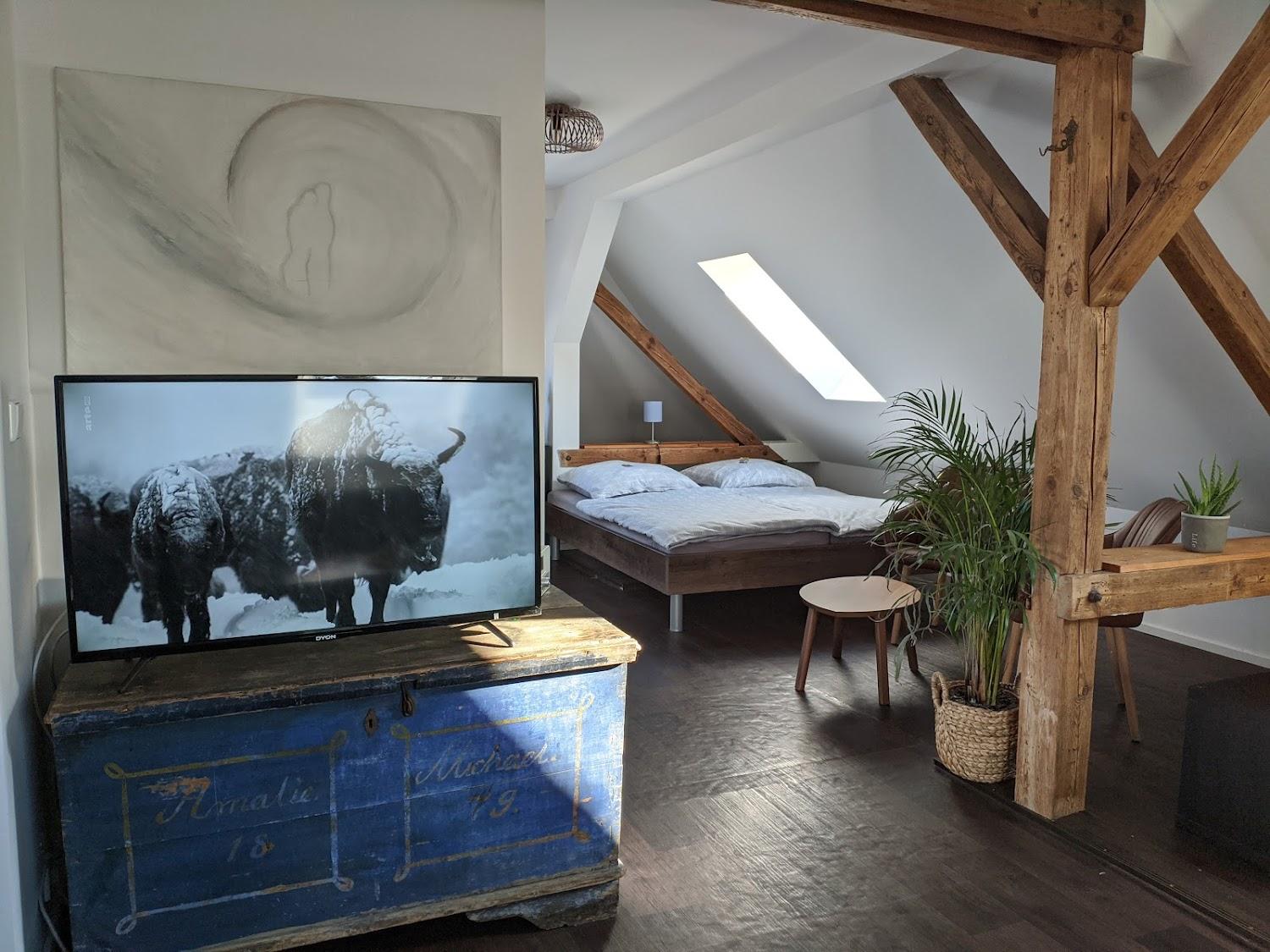 Cover Image for Exlusives LOFT Bahnhof, Zenzral, Stadthalle, NETFLIX, Disney Plus