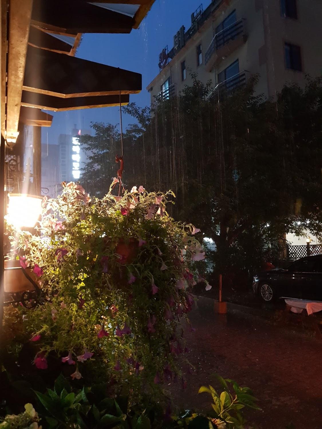 Cover Image for 대천로마펜션민박