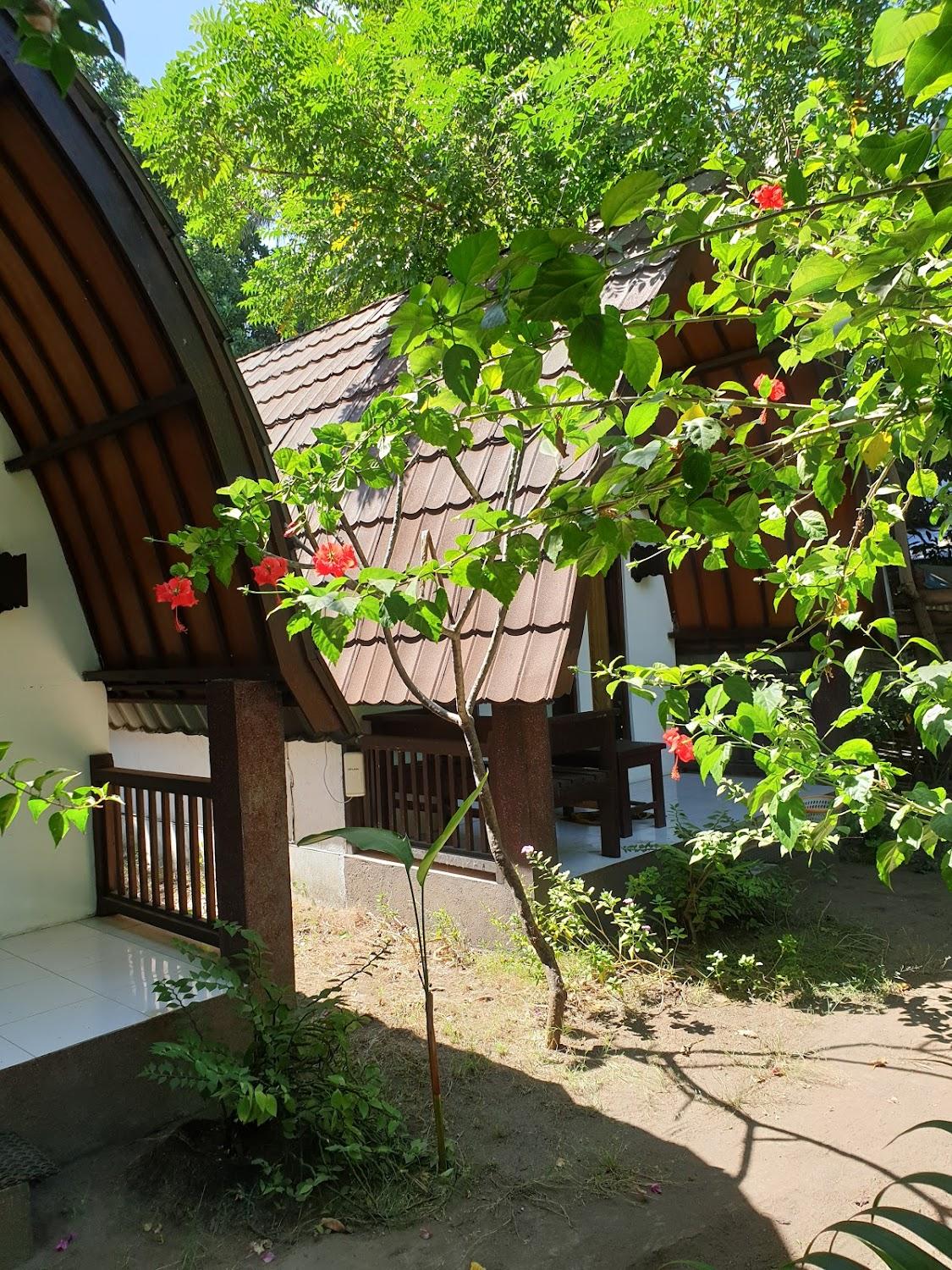 Cover Image for Hello Lumbung Homestay