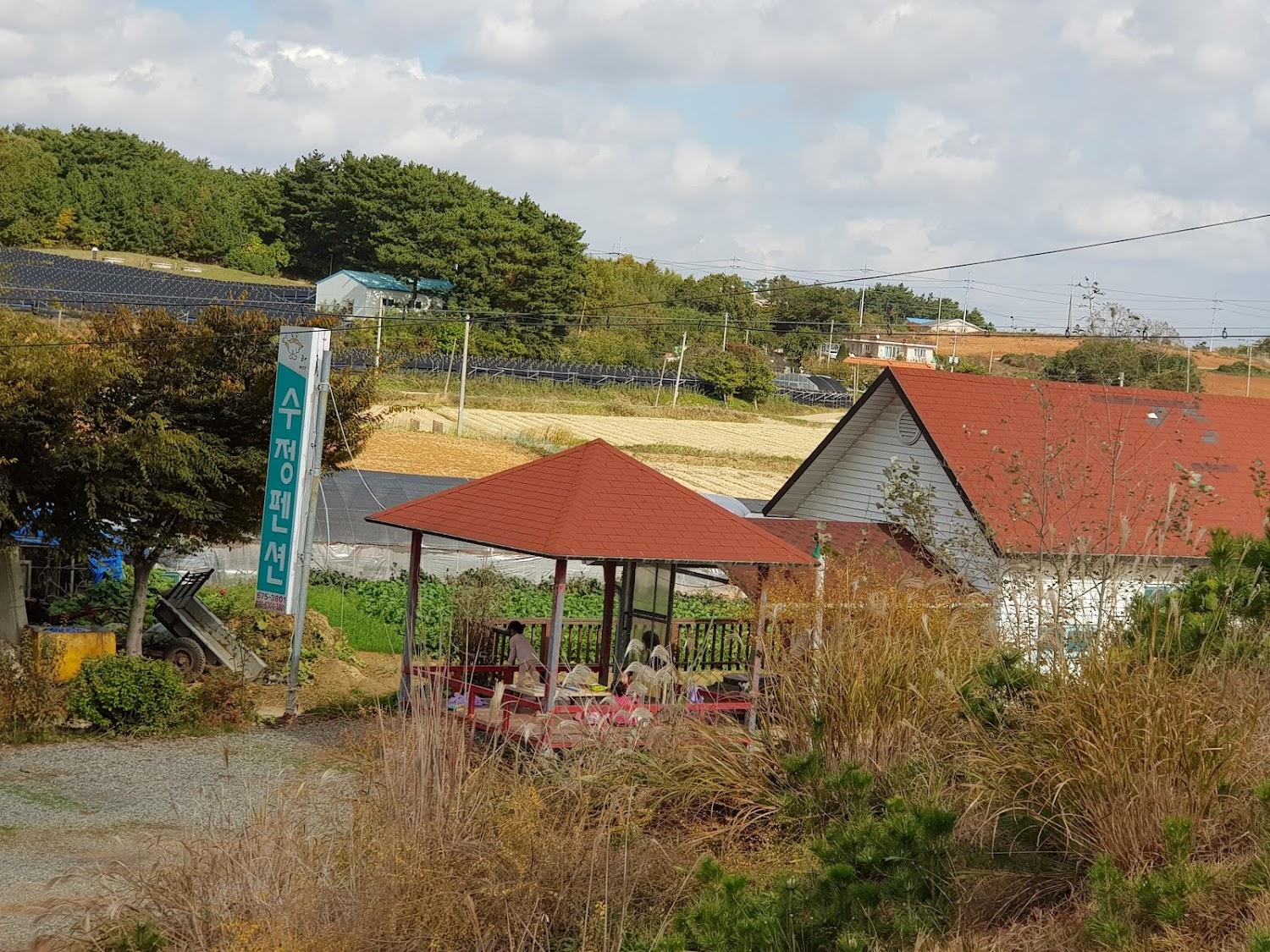 Cover Image for 수정펜션