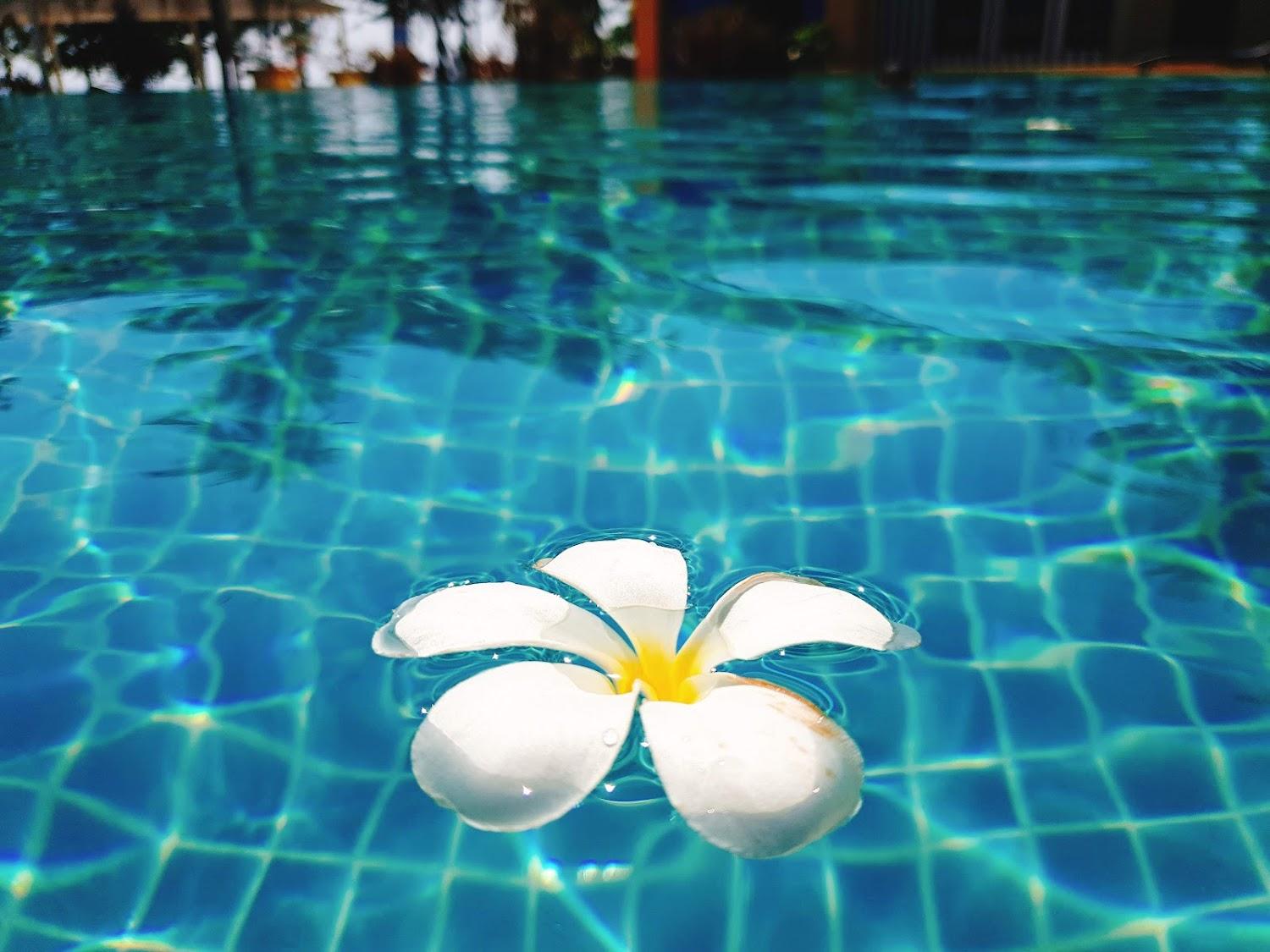 Cover Image for Springfield Beach Condominium