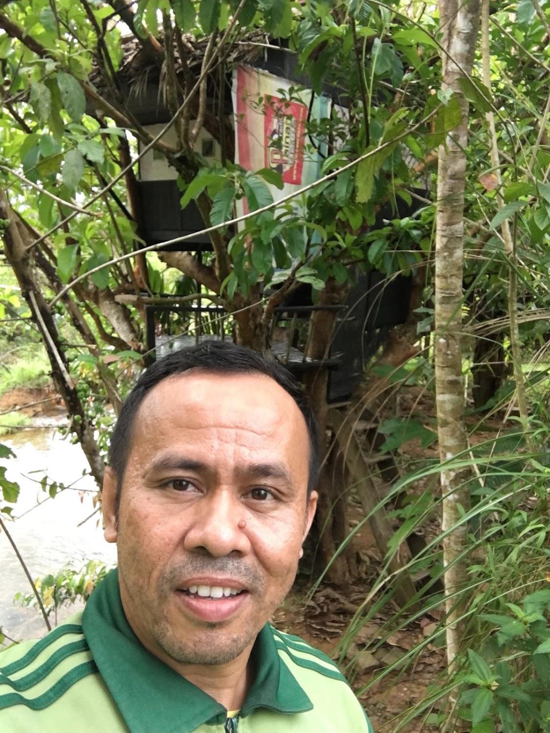 Cover Image for Abe Tree House
