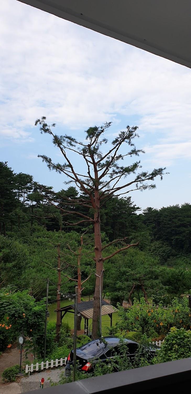 Cover Image for 가족이야기