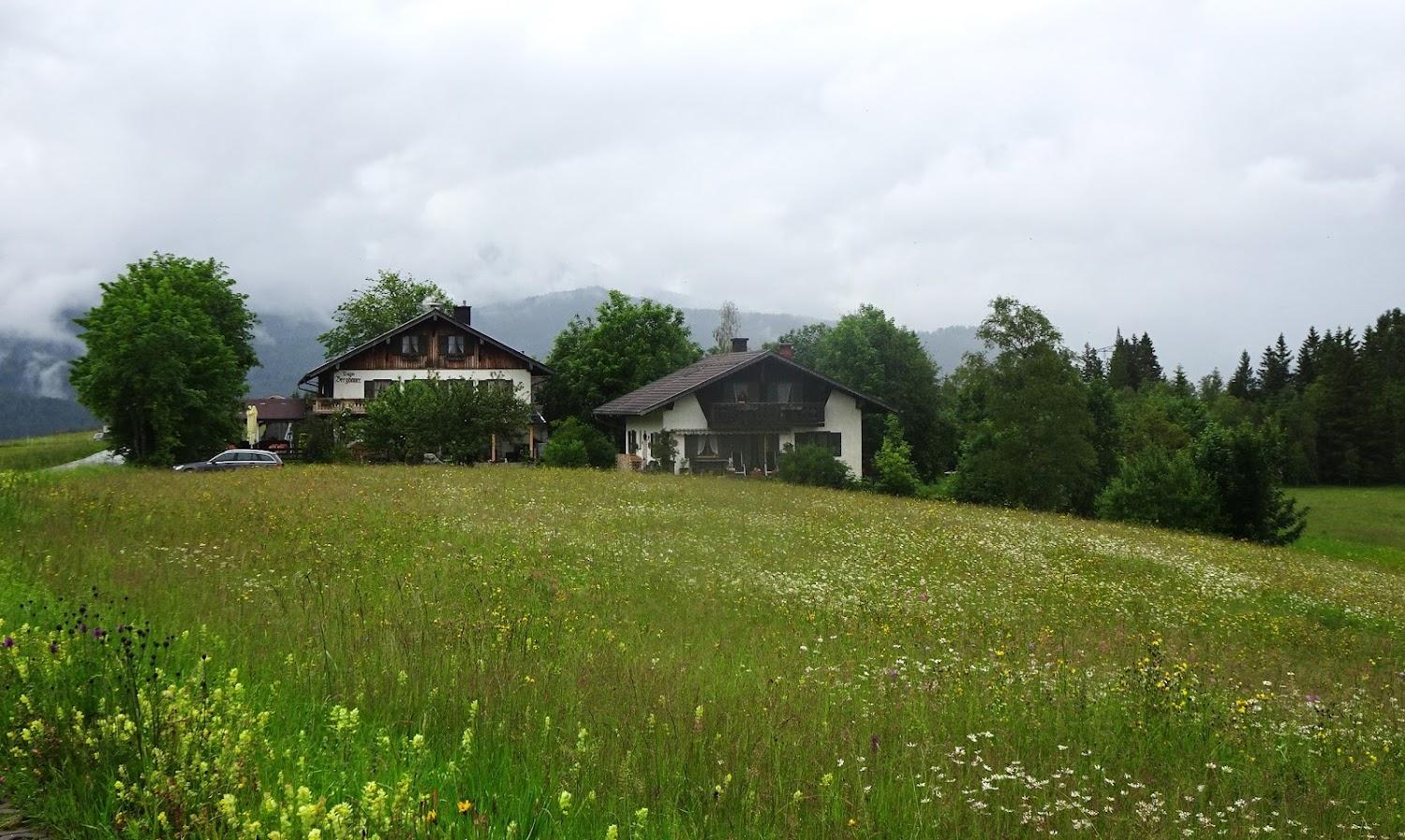 Cover Image for Goas Alm