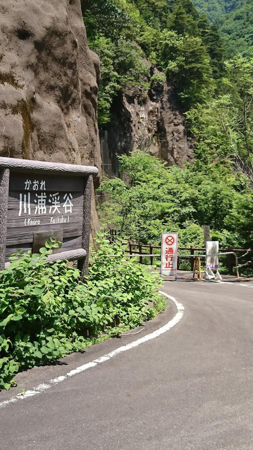 Cover Image for コテージ湯屋