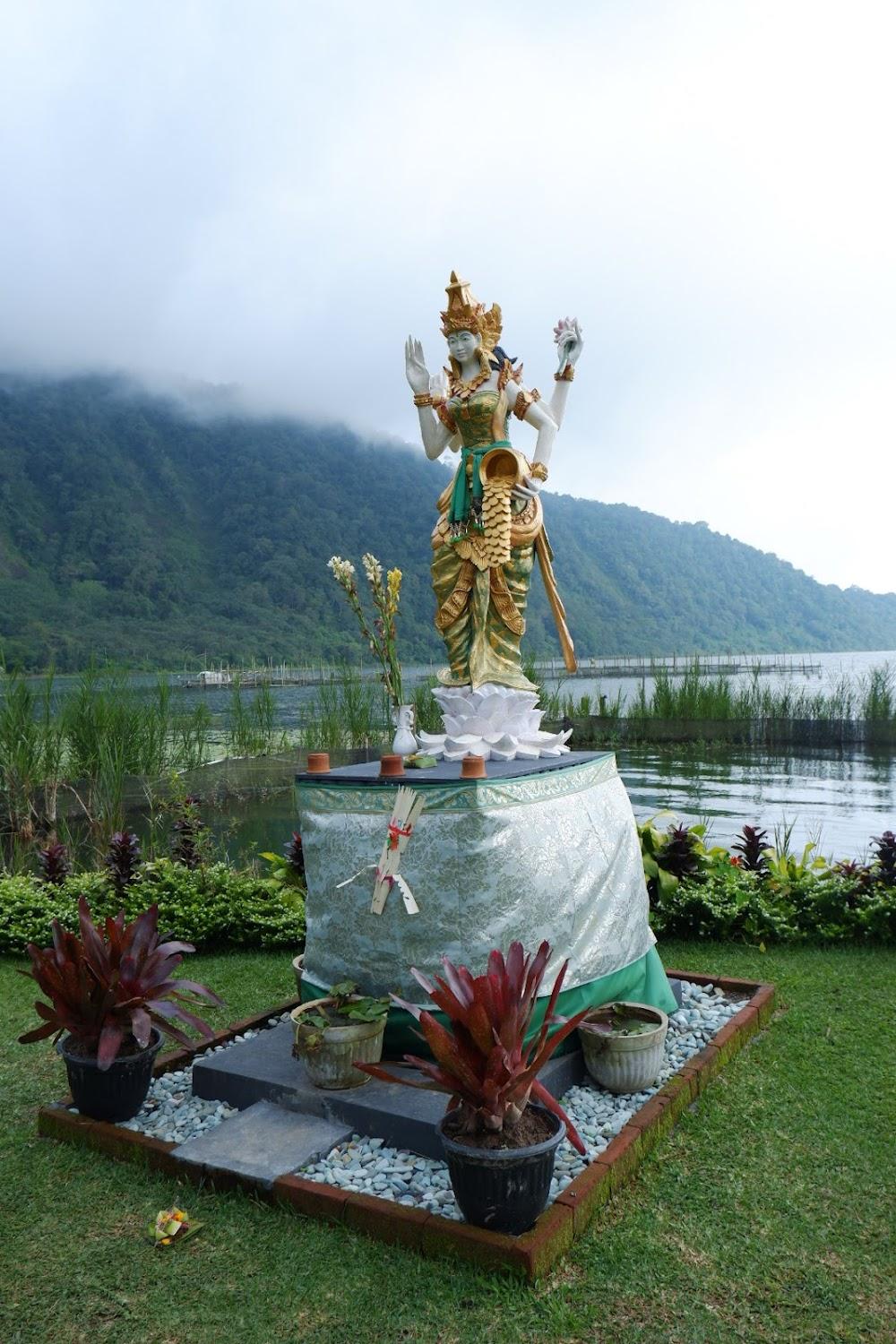 Cover Image for The polumb garden bedugul
