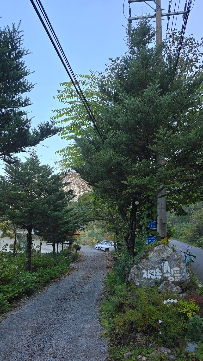 Cover Image for 평창 자연속쉼표캠핑장
