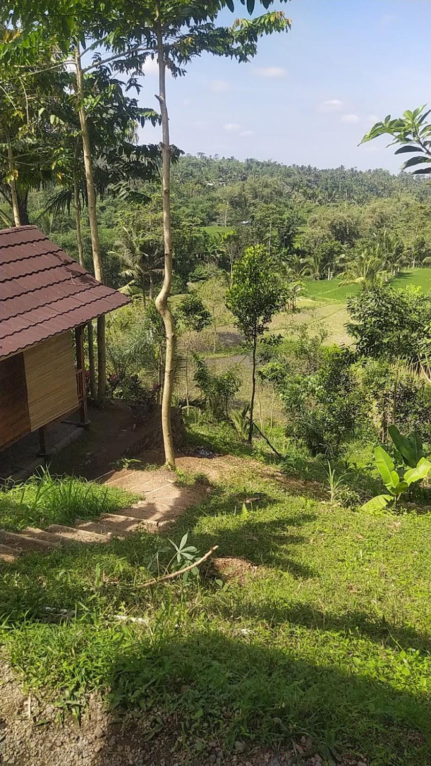 Cover Image for SERENITY LODGE TETEBATU