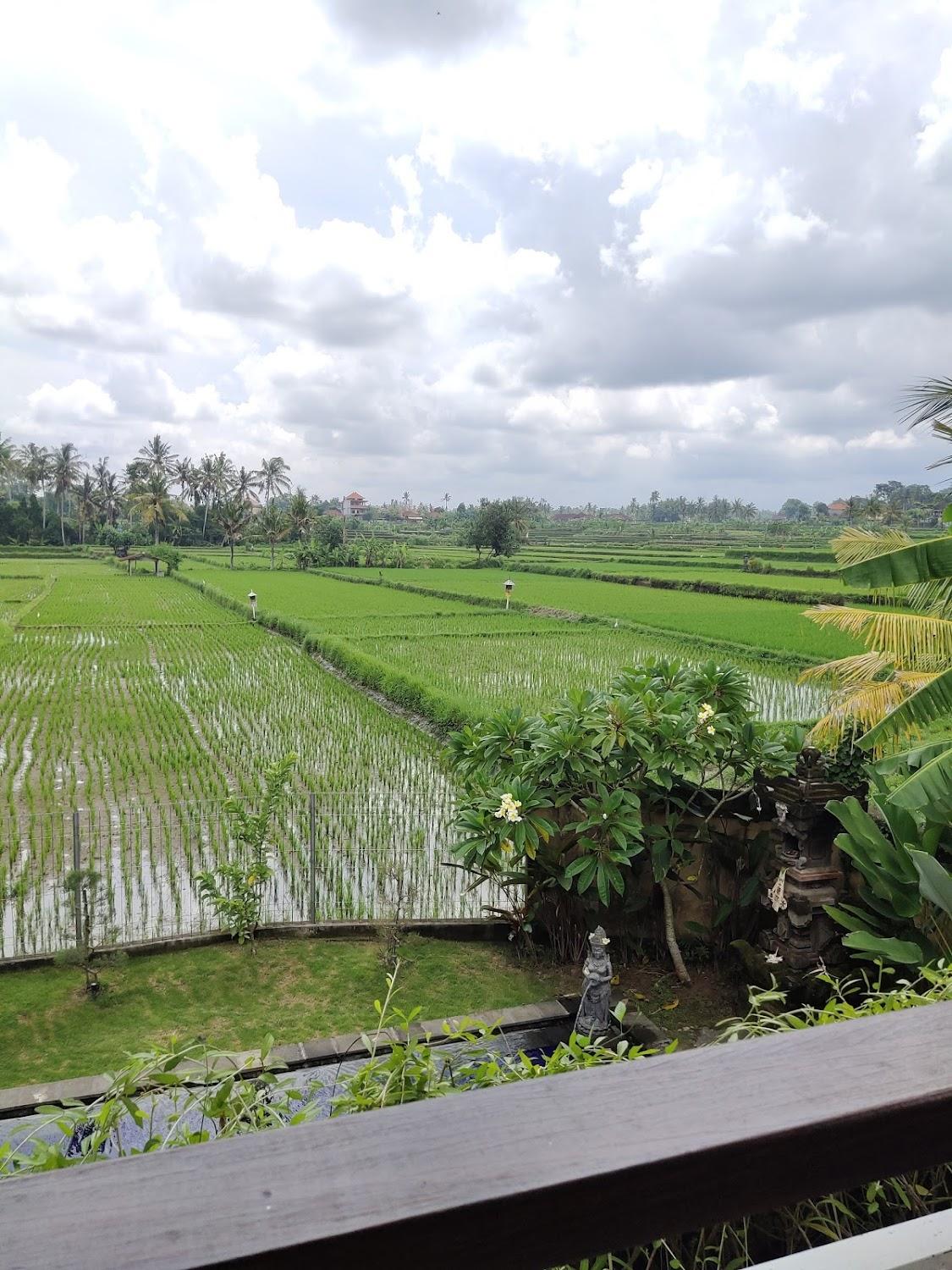 Cover Image for Long Lane Homestay Bali