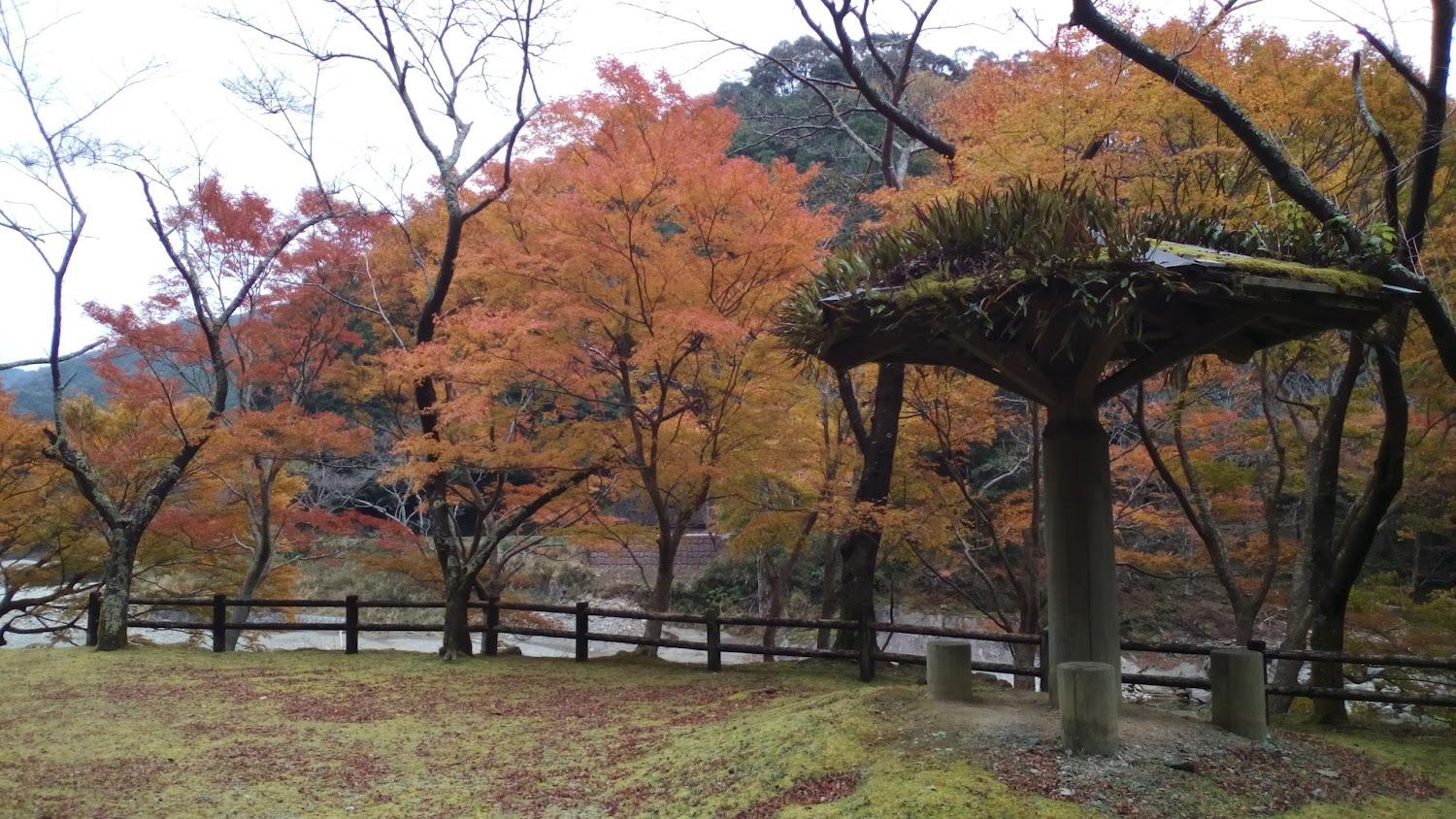 Cover Image for Ichimaiiwa Camping Ground