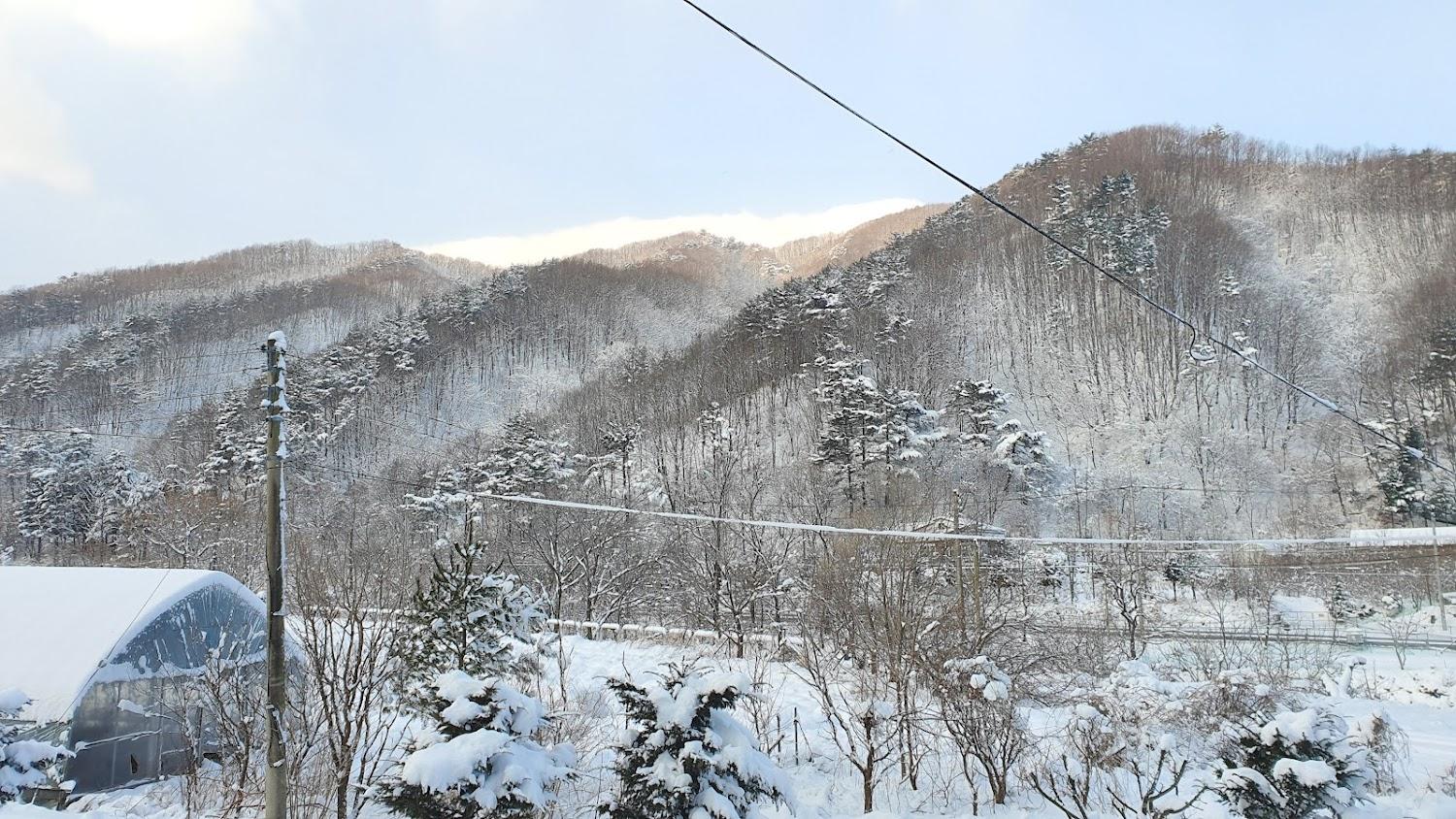 Cover Image for 초대민박