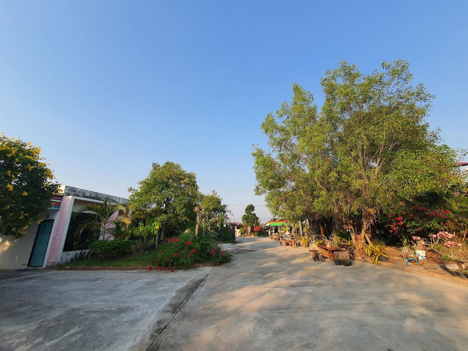 Cover Image for อารีน่า