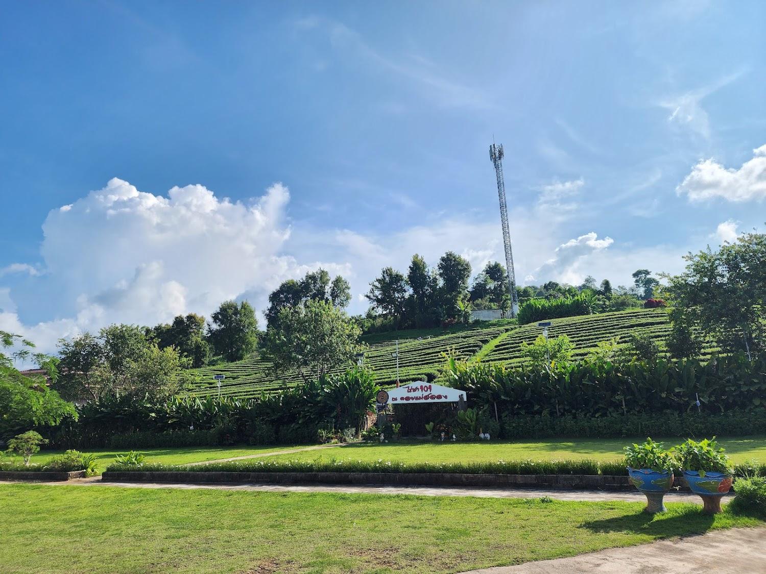Cover Image for 101 Tea Green View Resort
