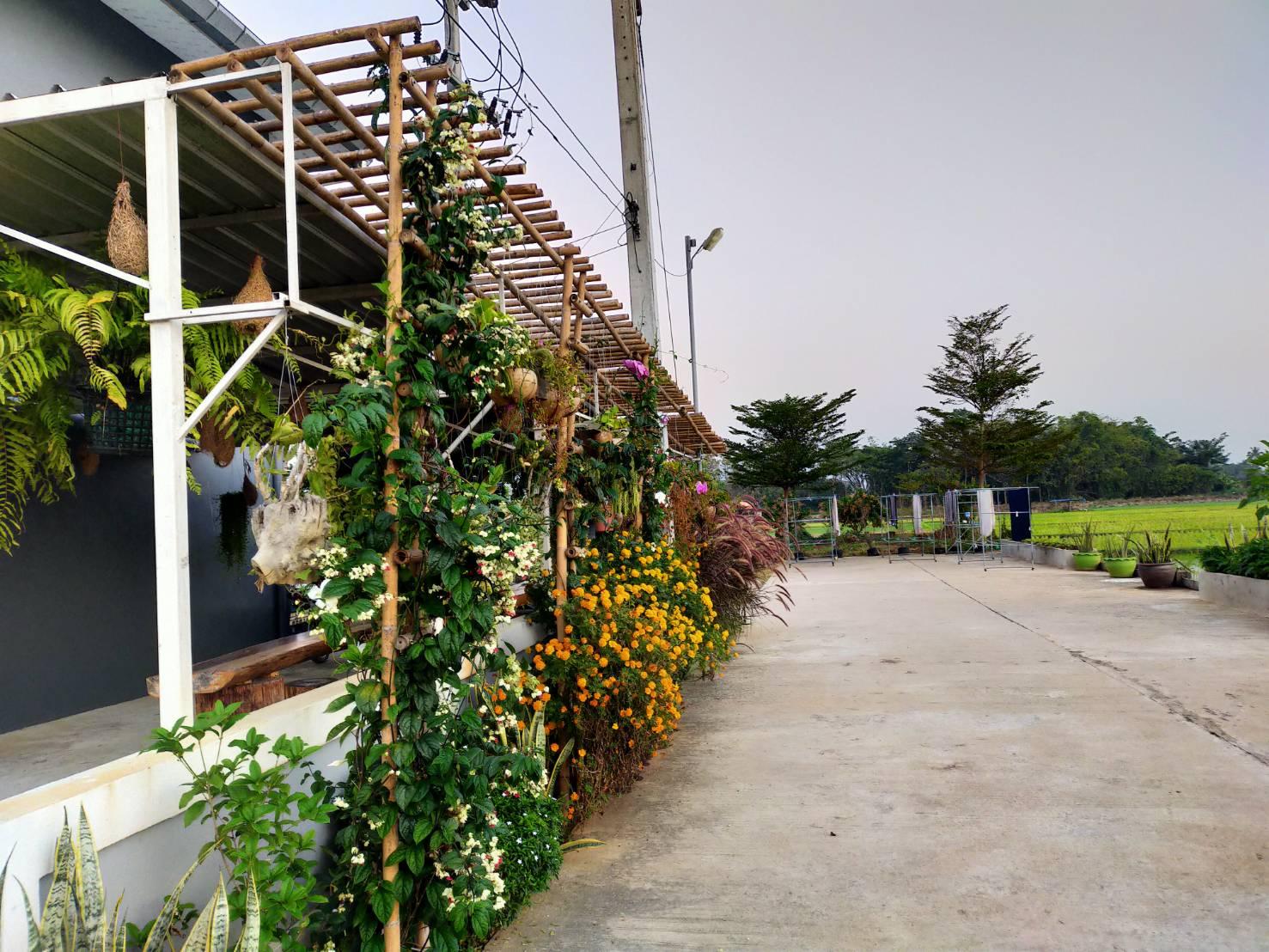 Cover Image for Paddy Field Hotel