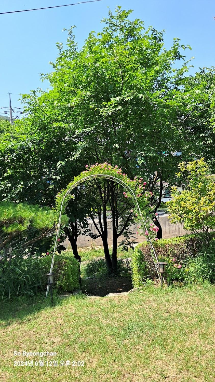 Cover Image for 돌탑펜션