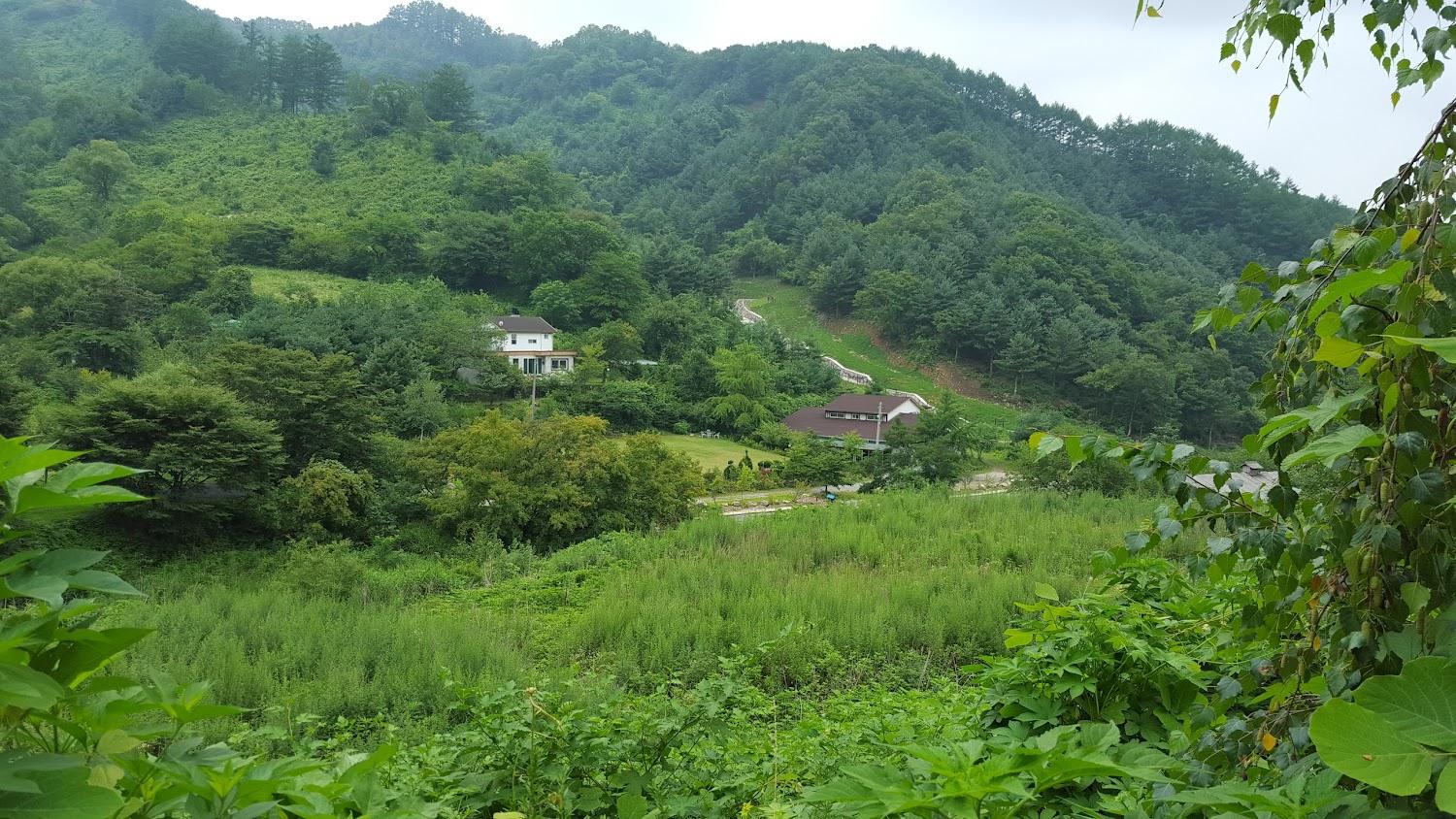 Cover Image for 달빛연가펜션