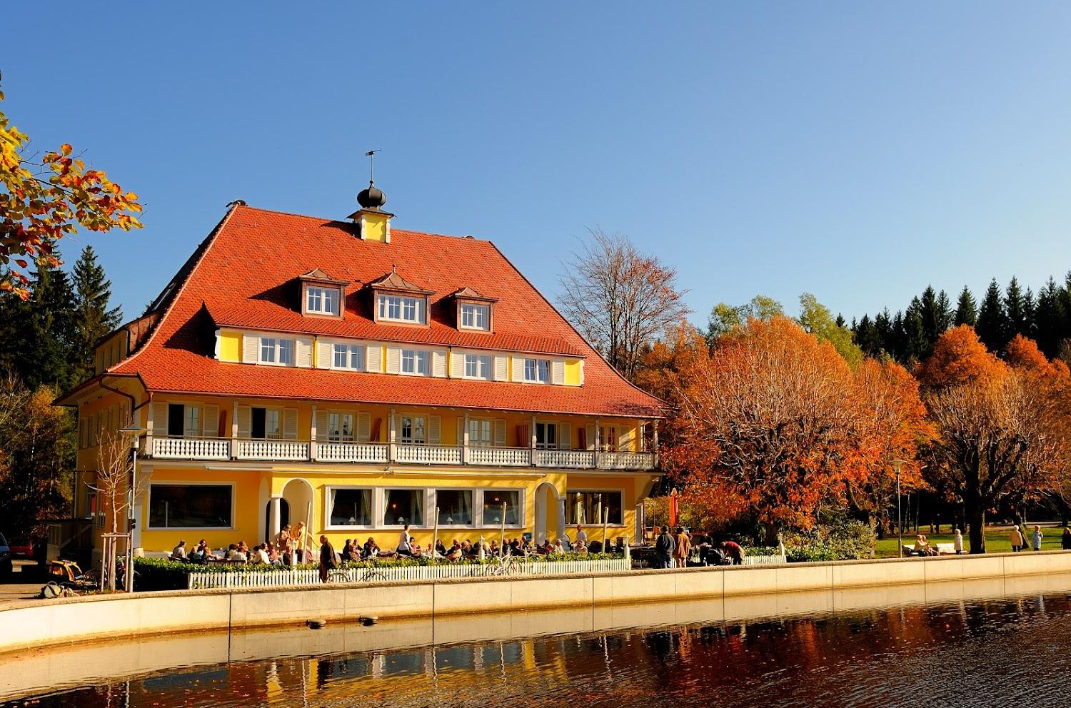 Cover Image for Hotel Waldsee