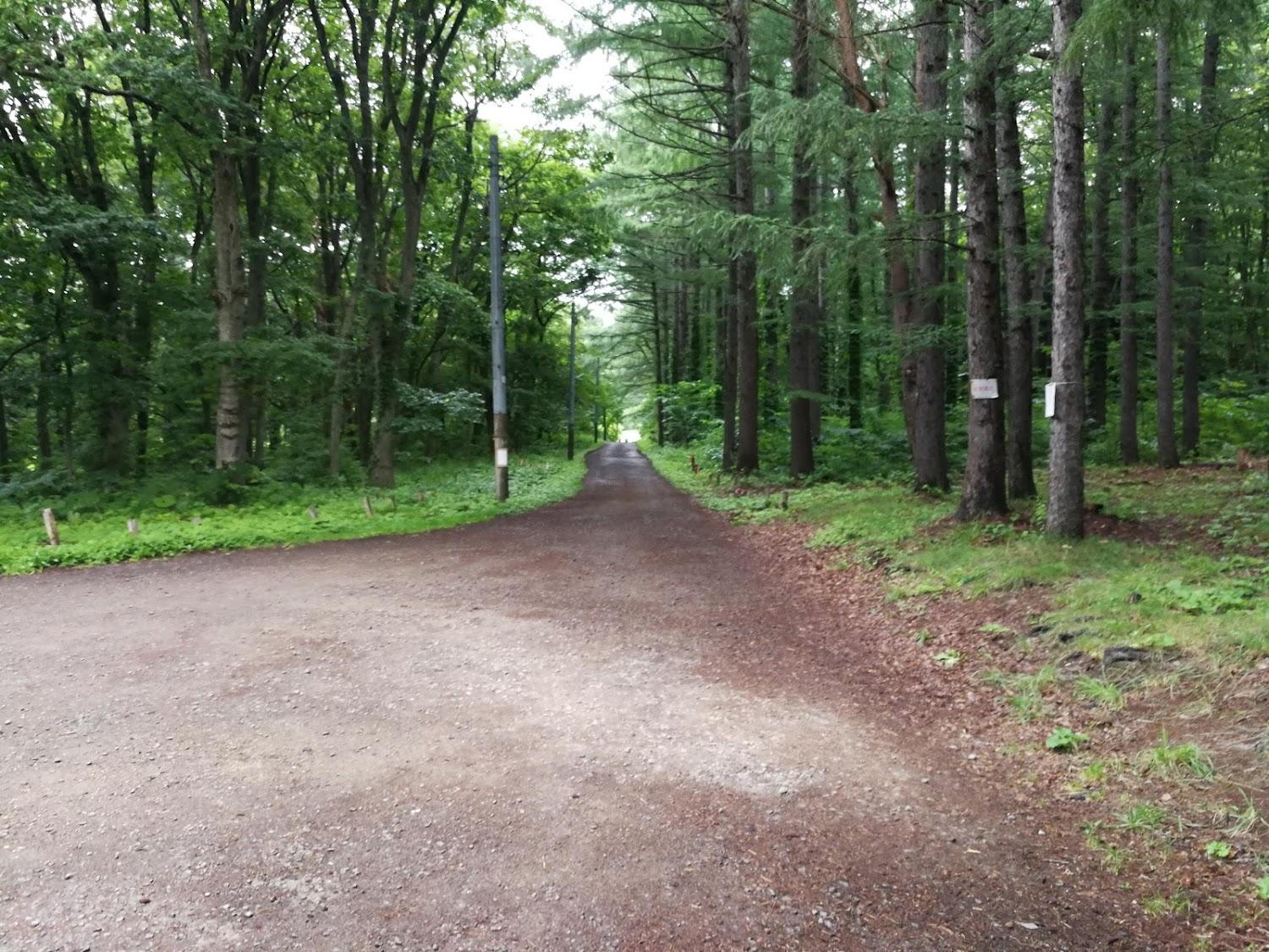 Cover Image for Tsukimino Forest Park