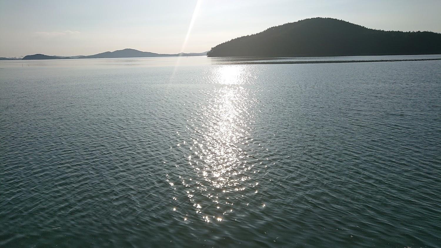 Cover Image for 오투오션