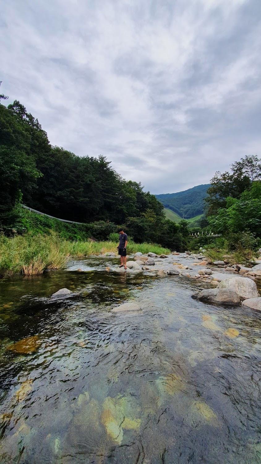 Cover Image for 펠리체펜션