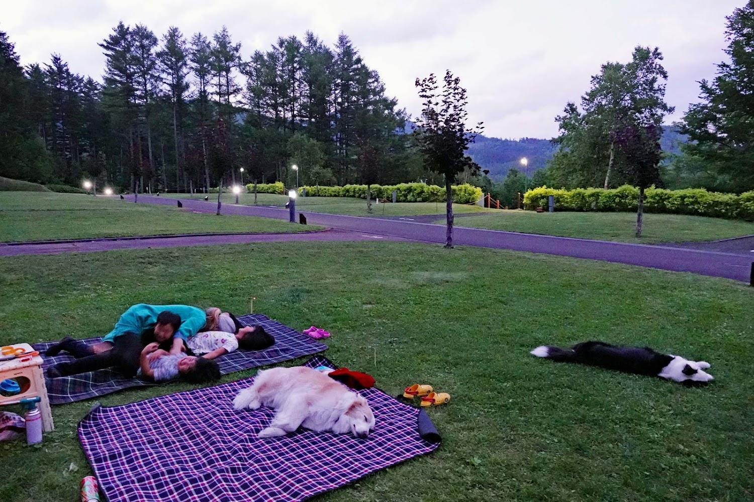 Cover Image for Kanayamako Auto Camping Ground