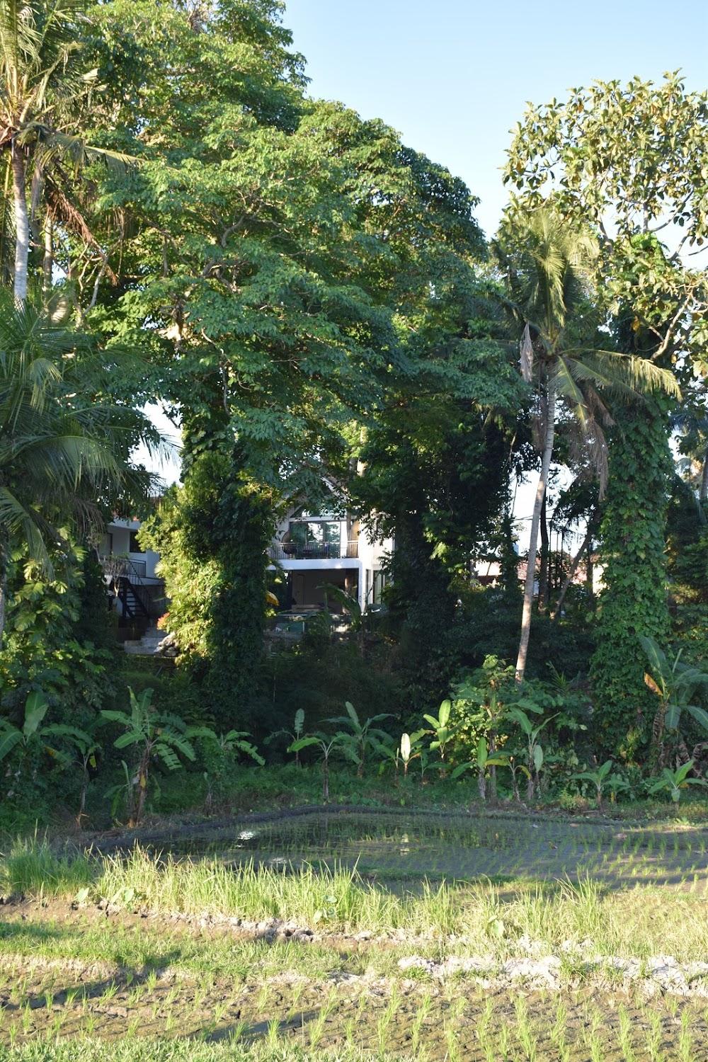 Cover Image for Satori Oasis and Treehouse