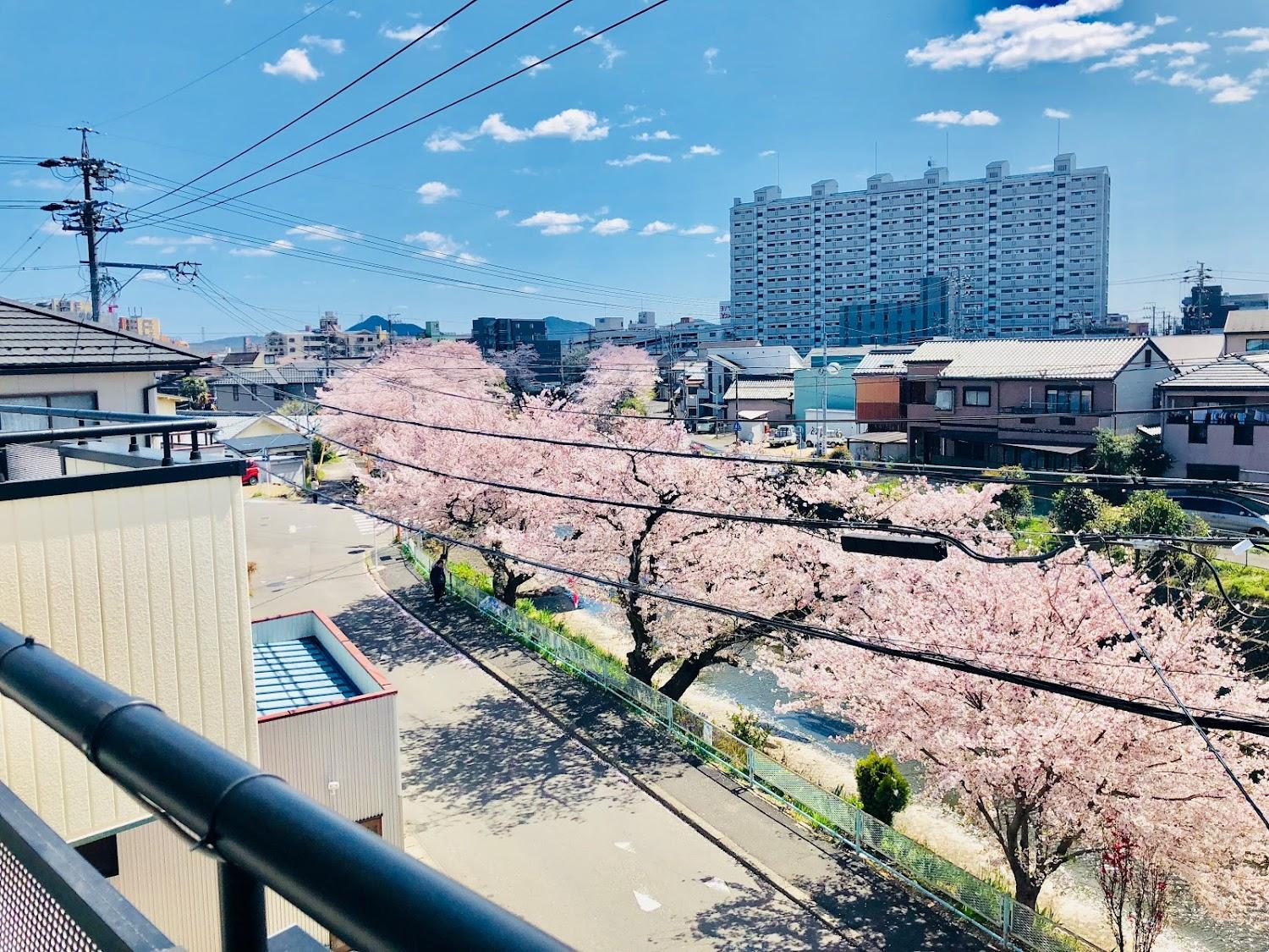 Cover Image for 犬山モダンルーム
