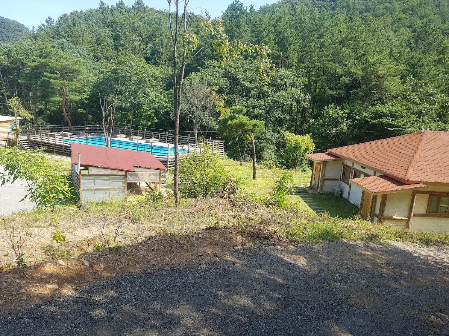 Cover Image for 뷔송블루