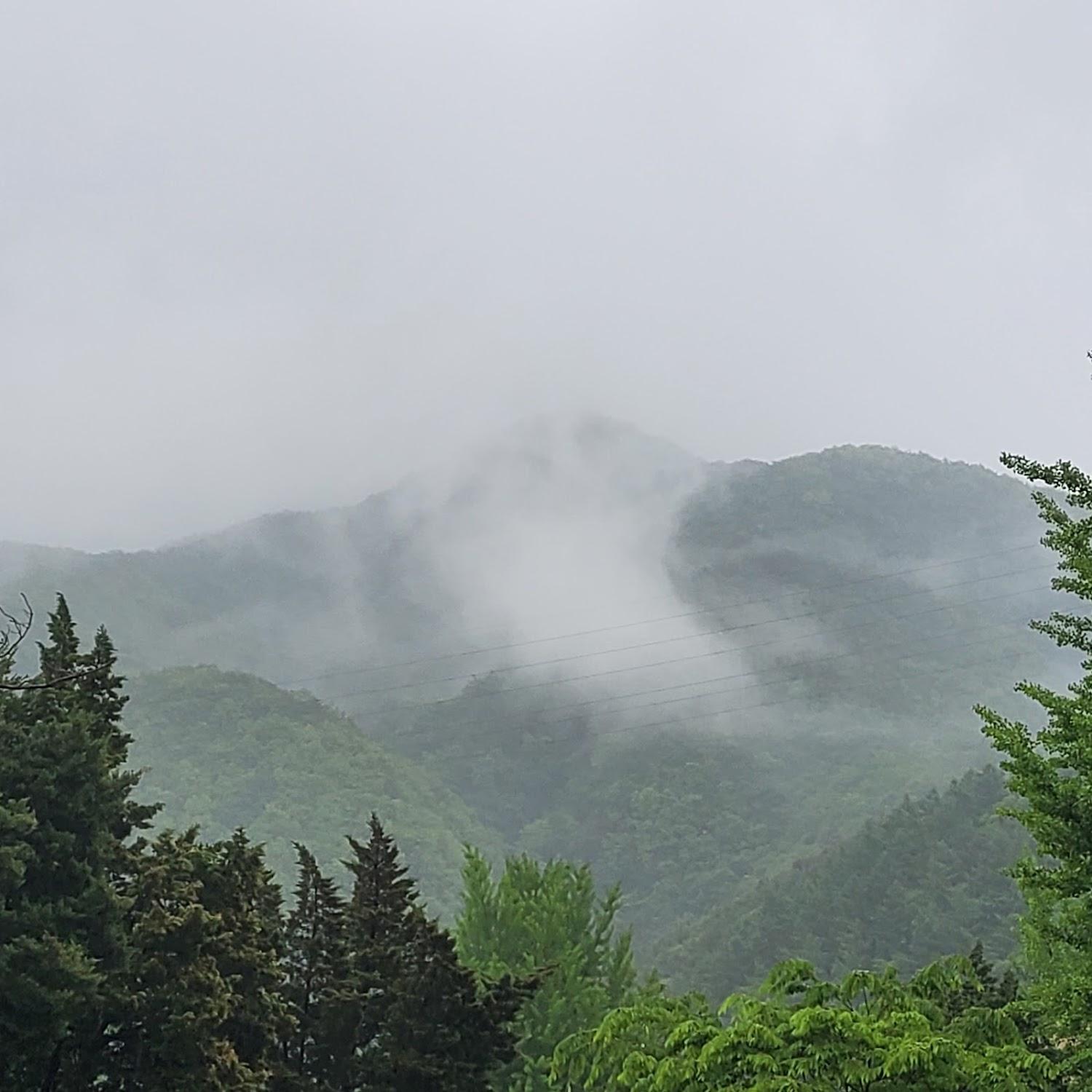 Cover Image for 와이캠핑장