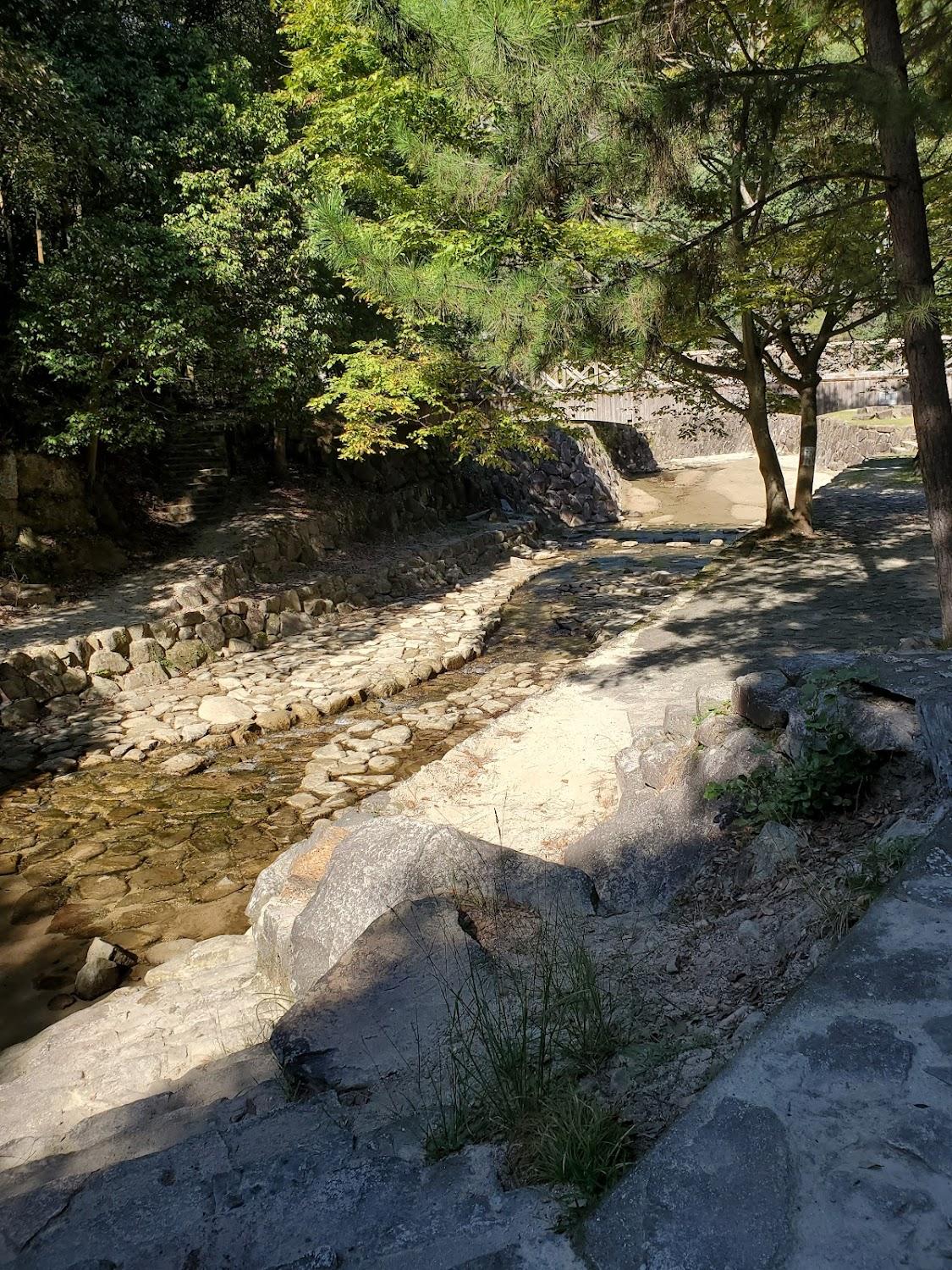 Cover Image for Mikumarikyo Forest Park Camping Ground
