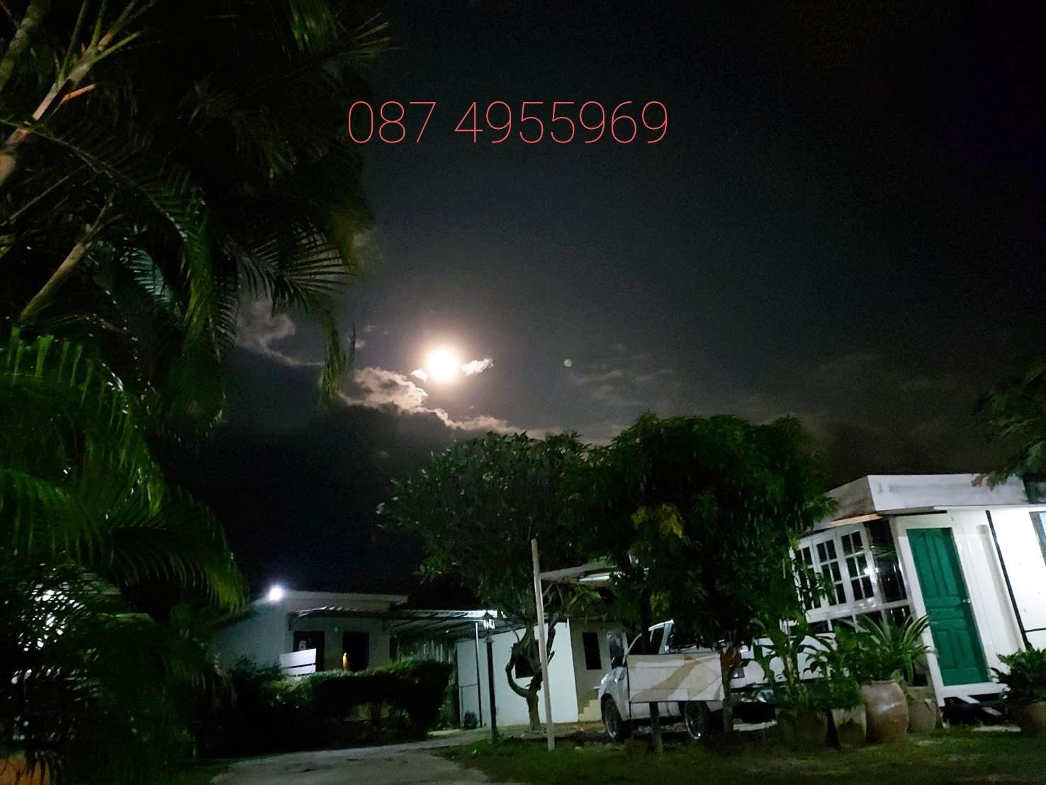 Cover Image for ช่อชบารีสอร์ท พรหมพิราม Chochaba resort
