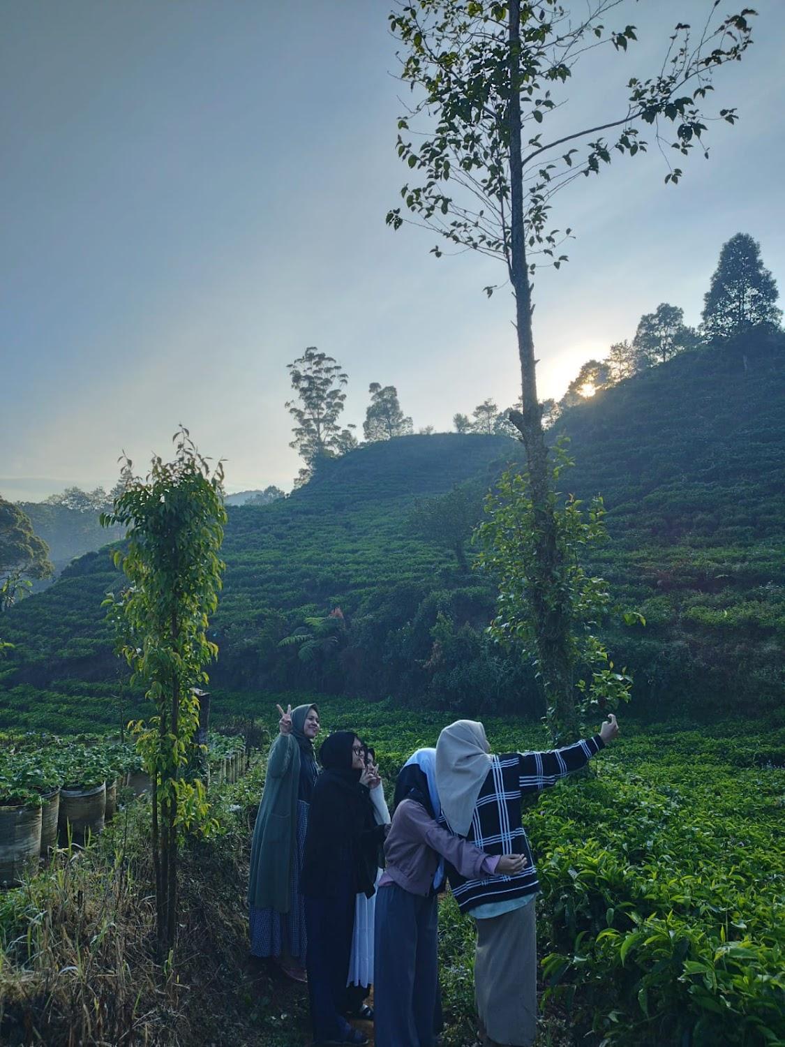Cover Image for Pink Homestay