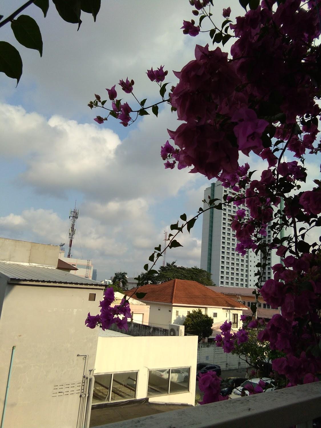 Cover Image for ยานาวาเรสซิเดนซ์