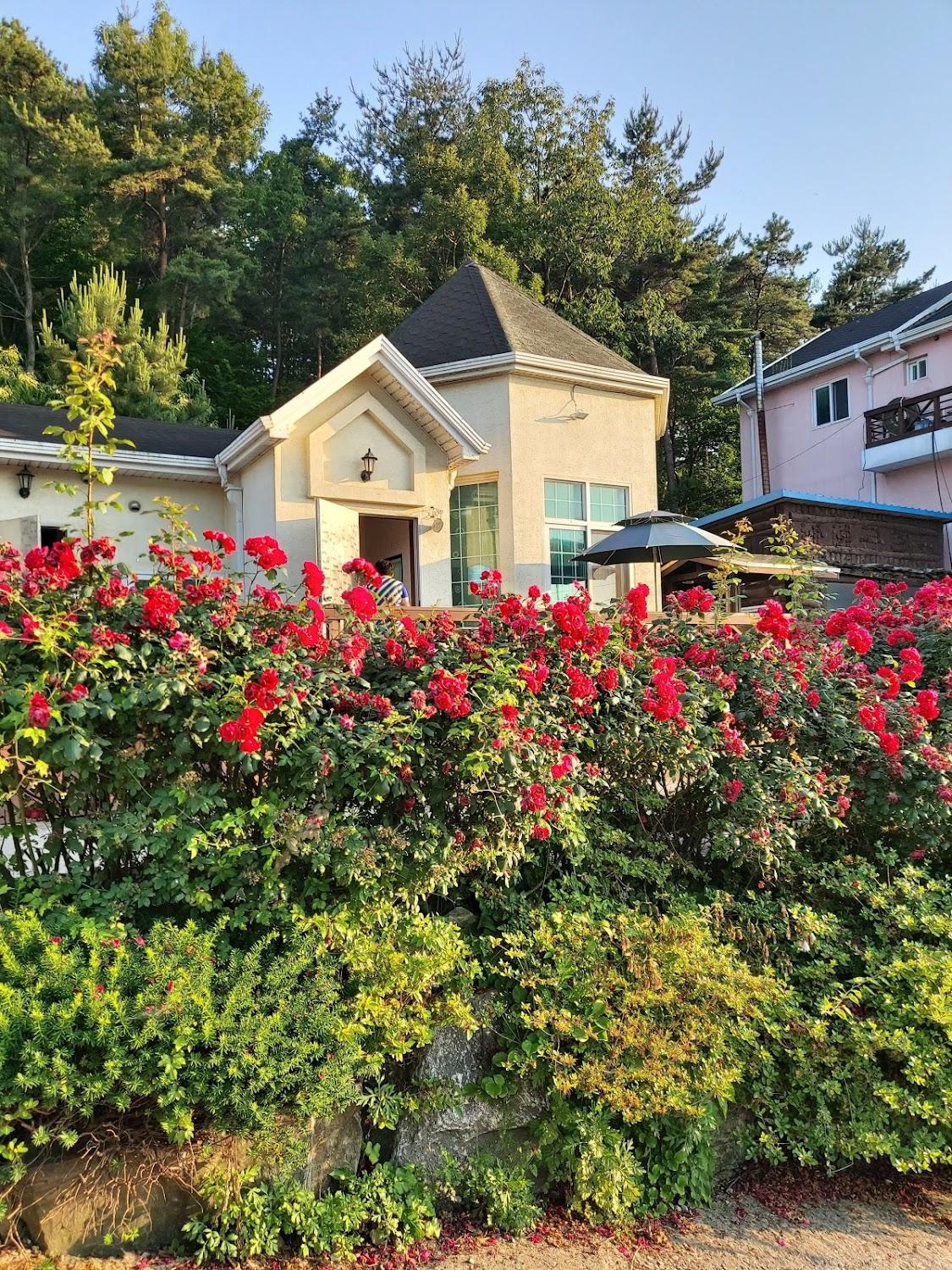 Cover Image for 다온펜션
