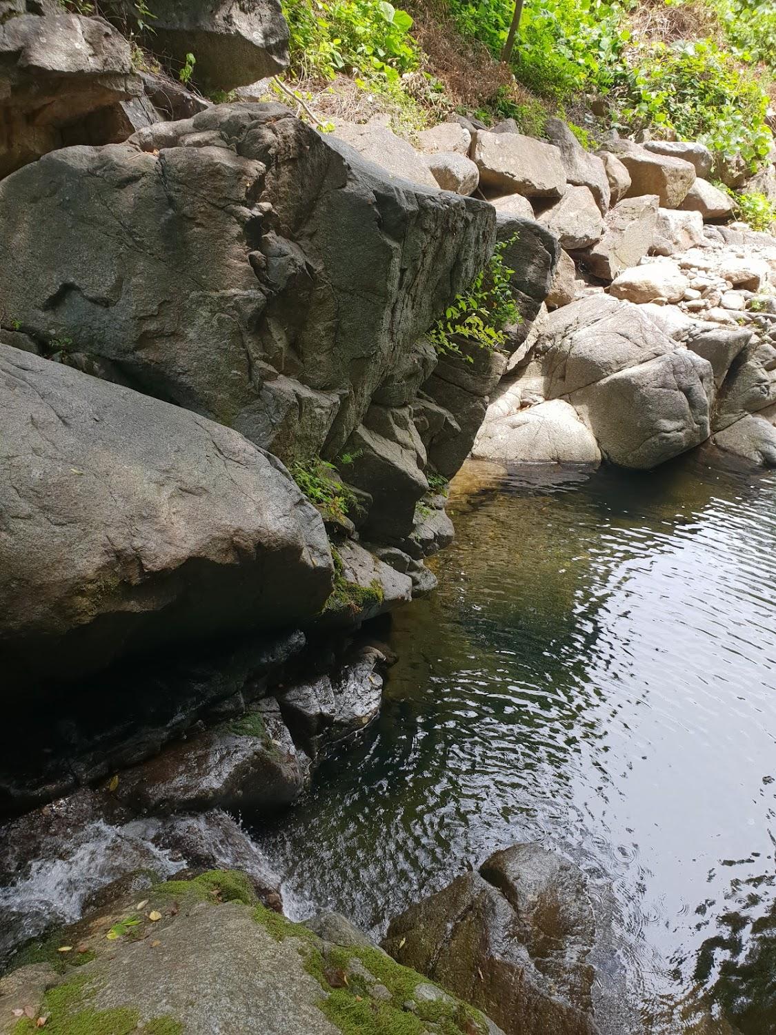 Cover Image for 계곡가든산장