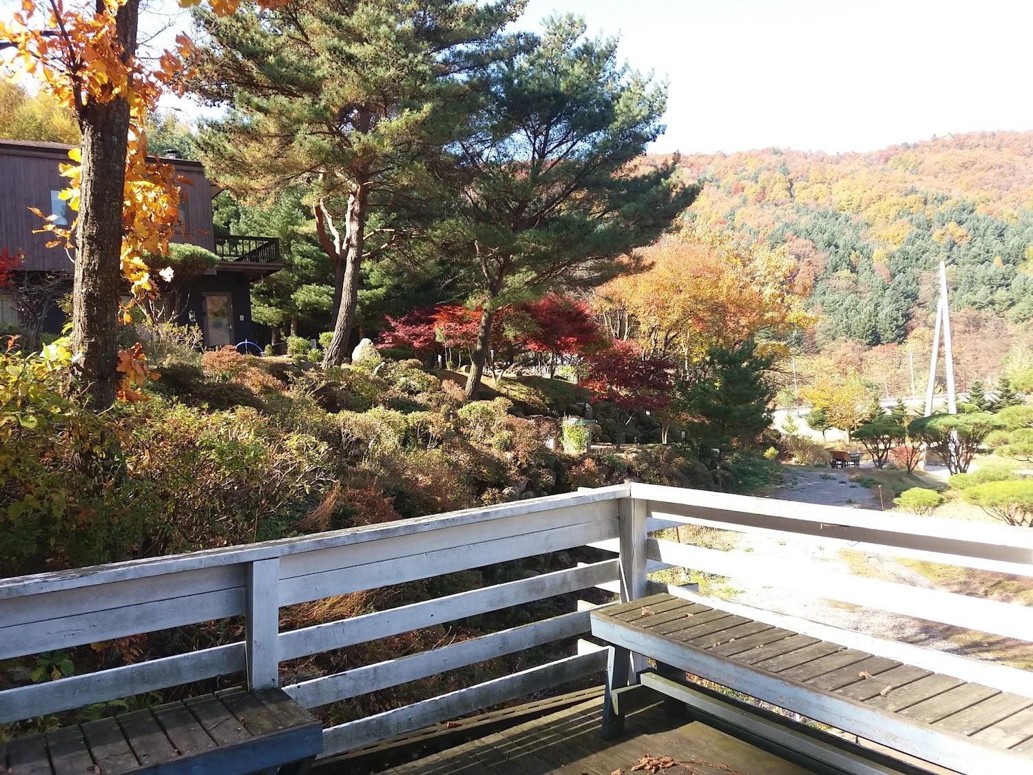 Cover Image for 별무리펜션