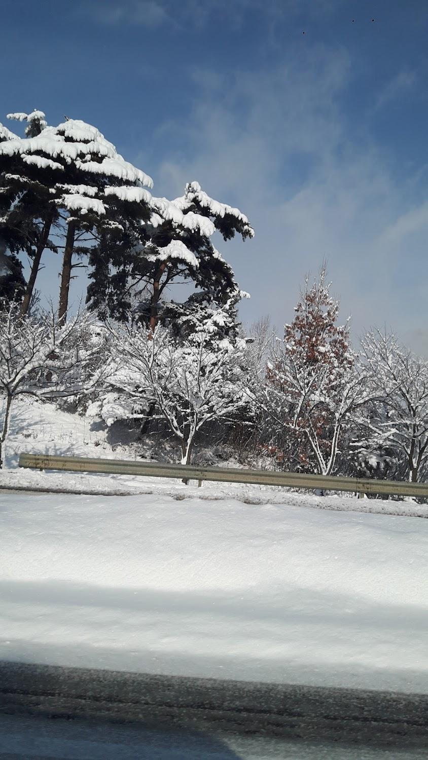 Cover Image for Mayfare Narsha Pyeongchang
